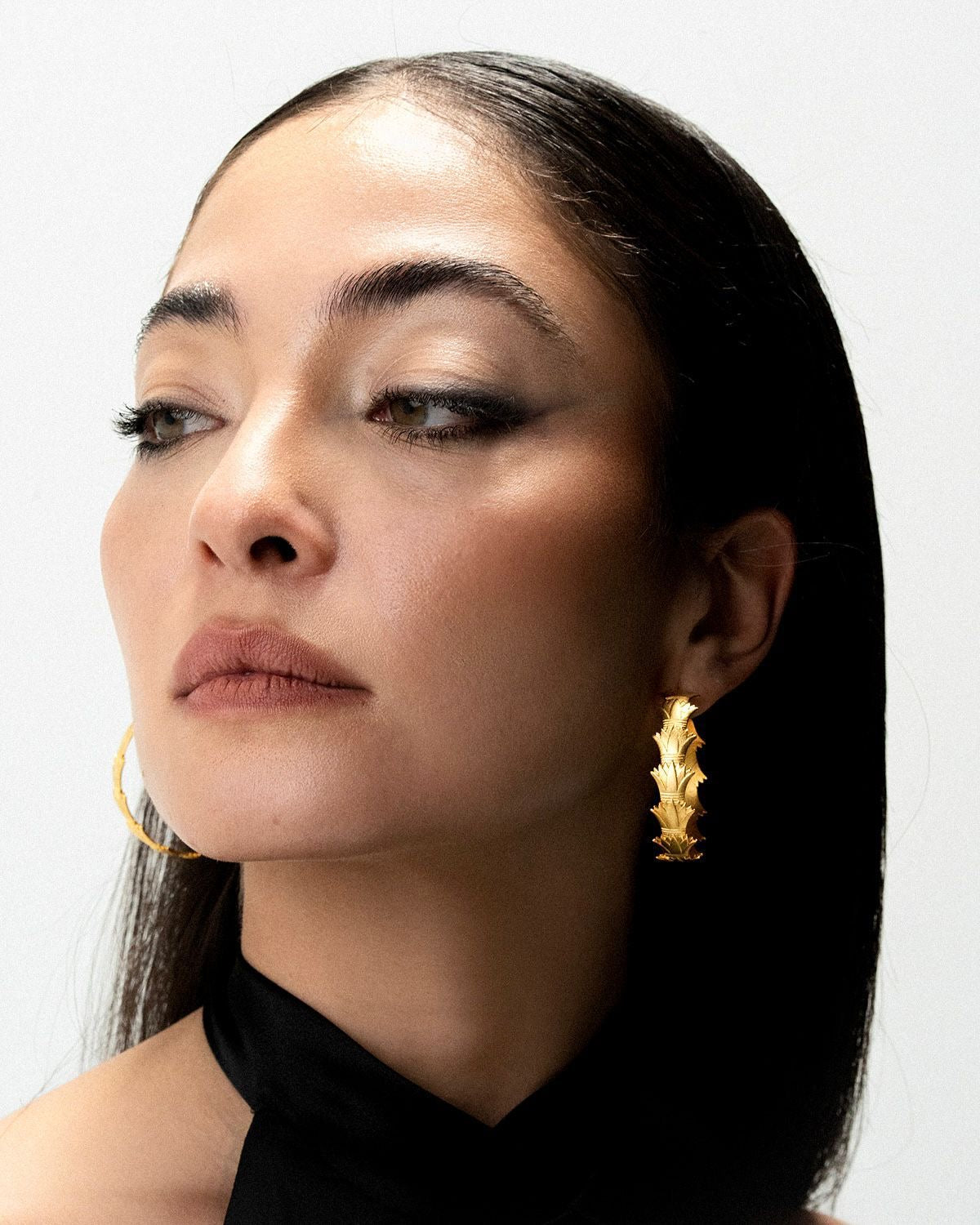SESHEN HOOPS